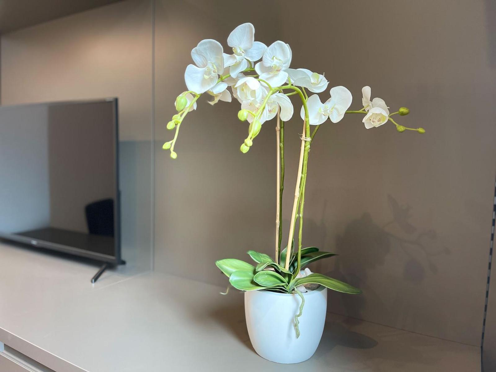 Clavis Luxury Apartments كيافينا المظهر الخارجي الصورة